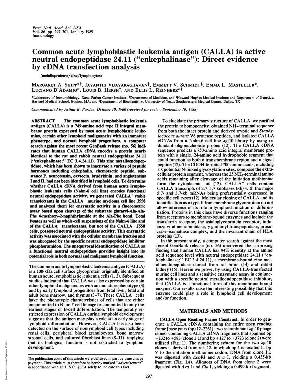 (CALLA) Is Active Neutral Endopeptidase 24.11 ("Enkephalinase"): Direct Evidence by Cdna Transfection Analysis (Metalloprotease/Zinc/Lymphocytes) MARGARET A