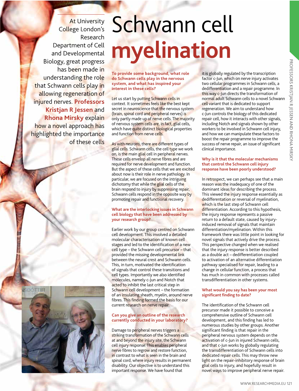 Schwann Cell Myelination