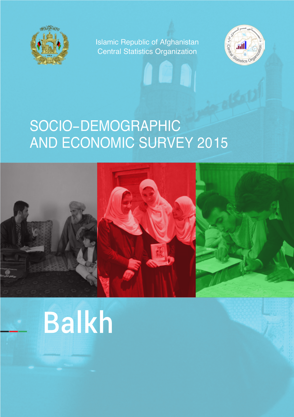 Socio-Demographic and Economic Survey 2015