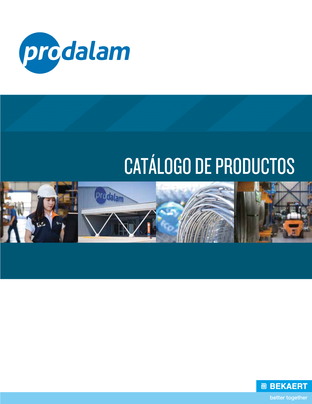 Catálogo De Productos Sucursales