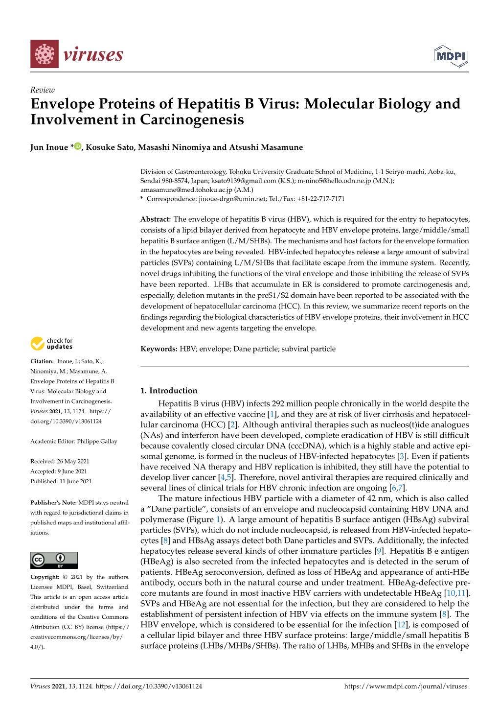 Envelope Proteins of Hepatitis B Virus: Molecular Biology and Involvement in Carcinogenesis