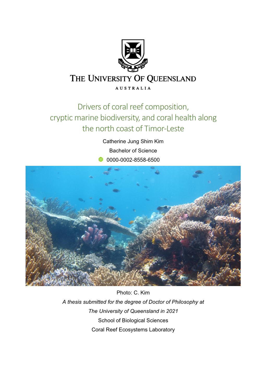 Drivers of Coral Reef Composition, Cryptic Marine Biodiversity, and Coral Health Along the North Coast of Timor-Leste