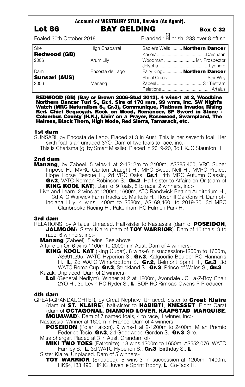 Lot 86 BAY GELDING Box C 32 Foaled 30Th October 2018 Branded : Nr Sh; 233 Over 8 Off Sh