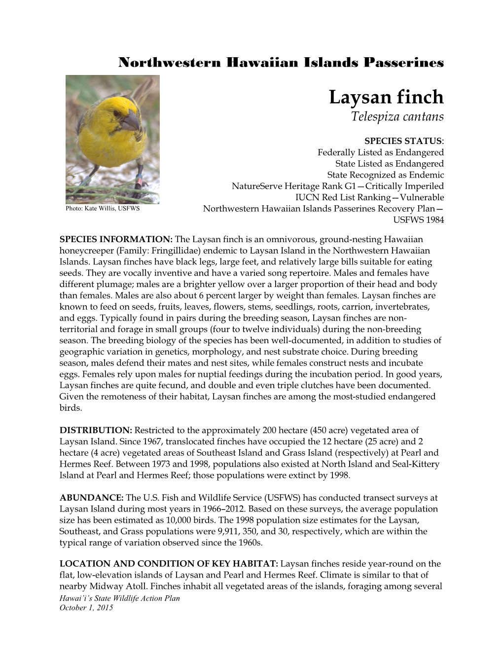 Laysan Finch Telespiza Cantans