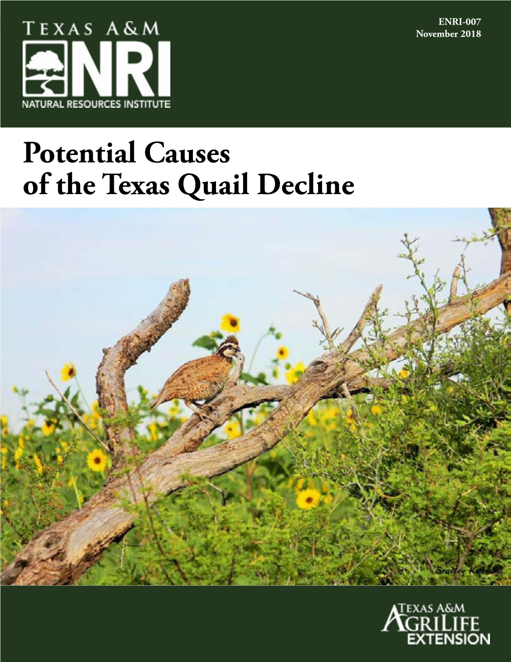 Potential Causes of the Texas Quail Decline