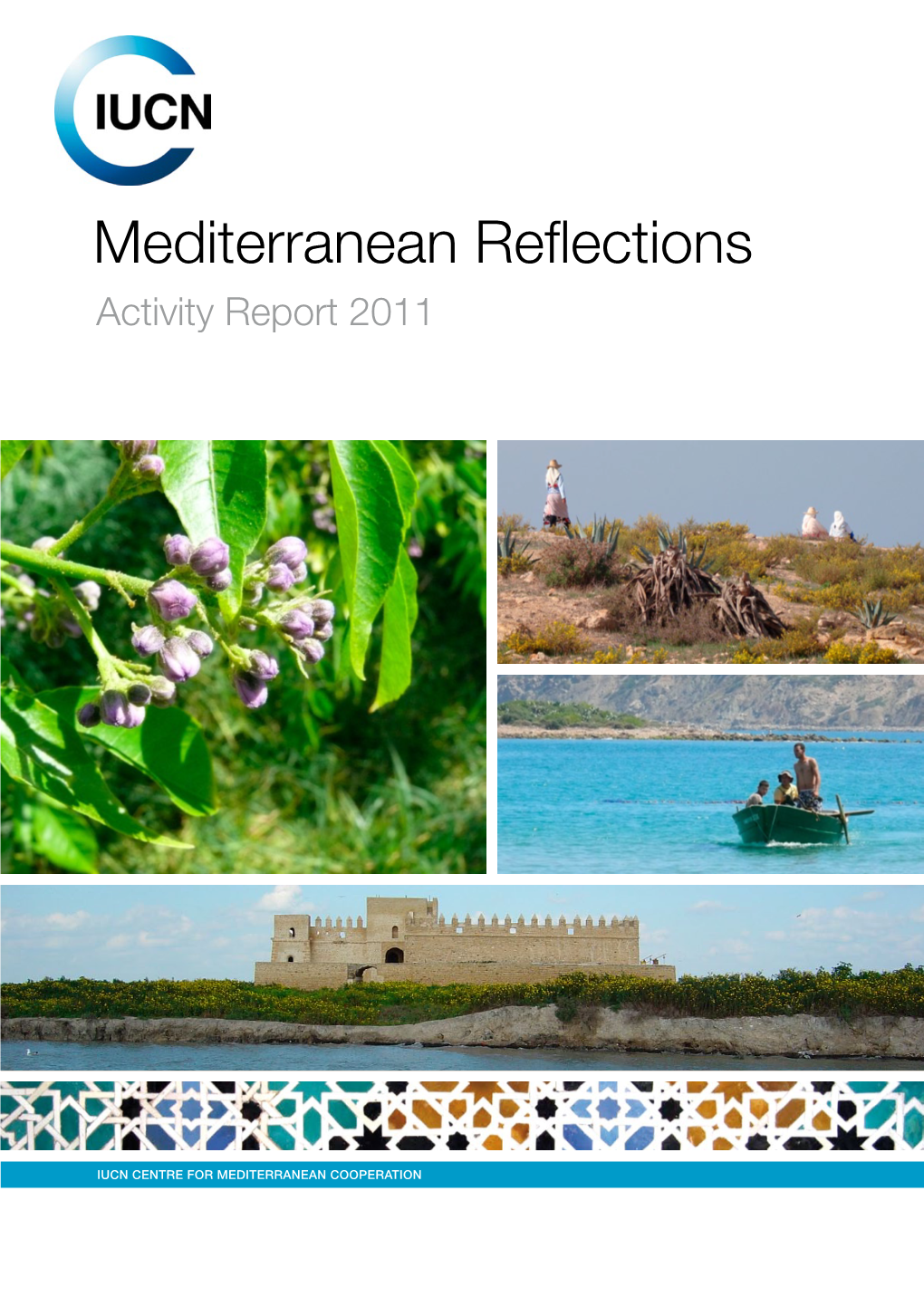 Mediterranean Reflections : Activity Report 2011