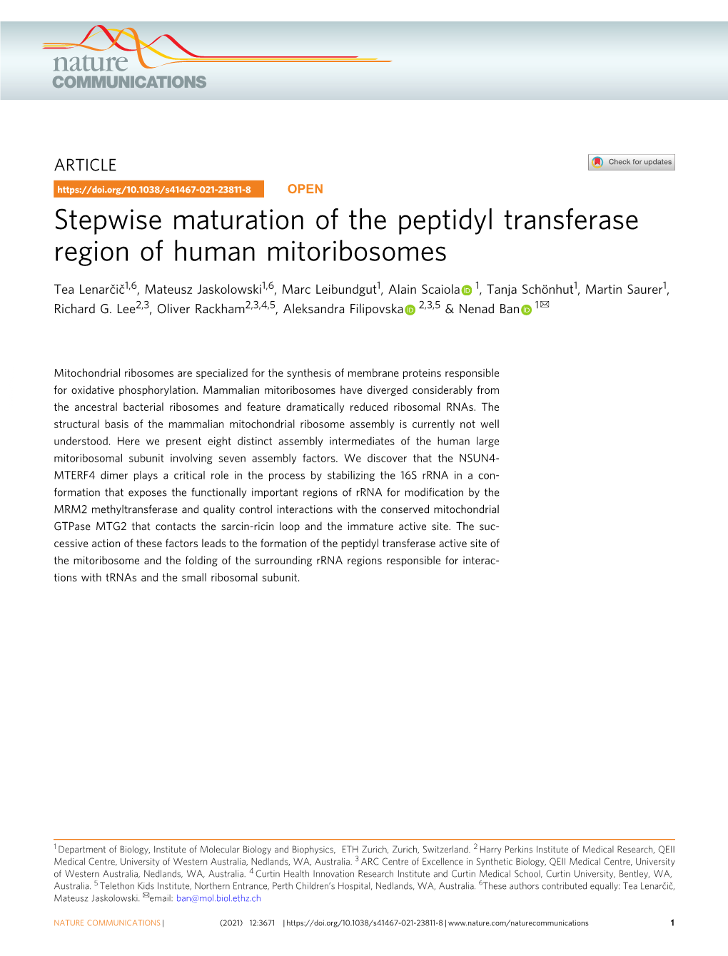 Stepwise Maturation of the Peptidyl Transferase Region of Human Mitoribosomes