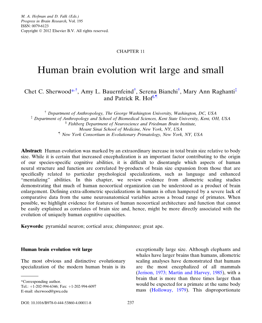 Human Brain Evolution Writ Large and Small