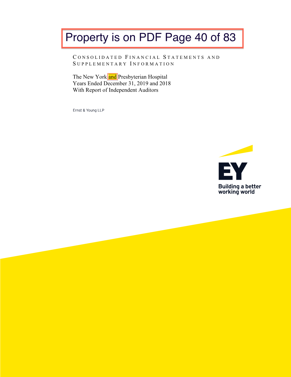 New York and Presbyterian Hospital Years Ended December 31, 2019 and 2018 with Report of Independent Auditors