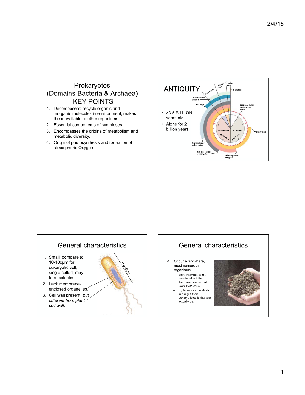 Domains Bacteria & Archaea