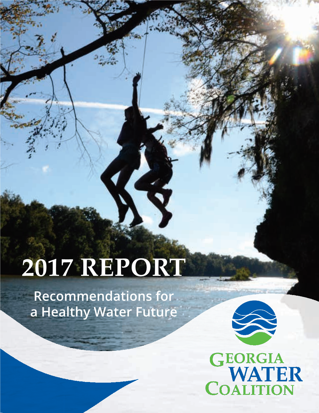 2017 GWC Report