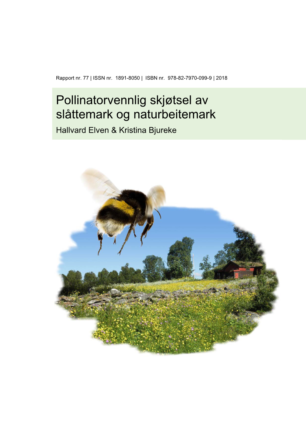 Pollinatorvennlig Skjøtsel Av Slåttemark Og Naturbeitemark Hallvard Elven & Kristina Bjureke