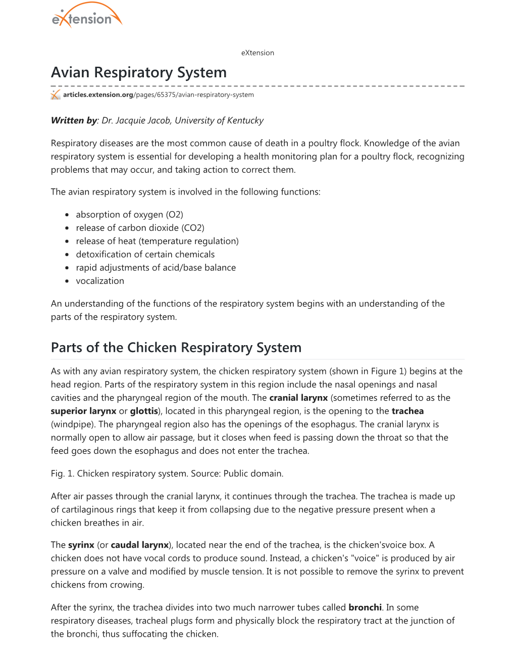 Avian Respiratory System