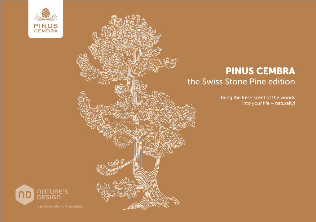 PINUS CEMBRA the Swiss Stone Pine Edition