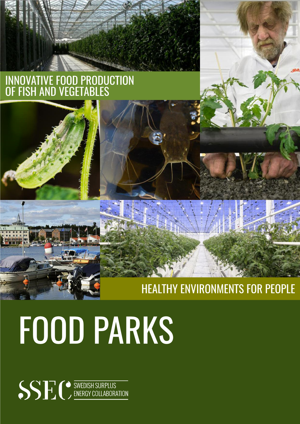 FOOD PARKS Program Leader of Urban Food and Editor of This Ebook