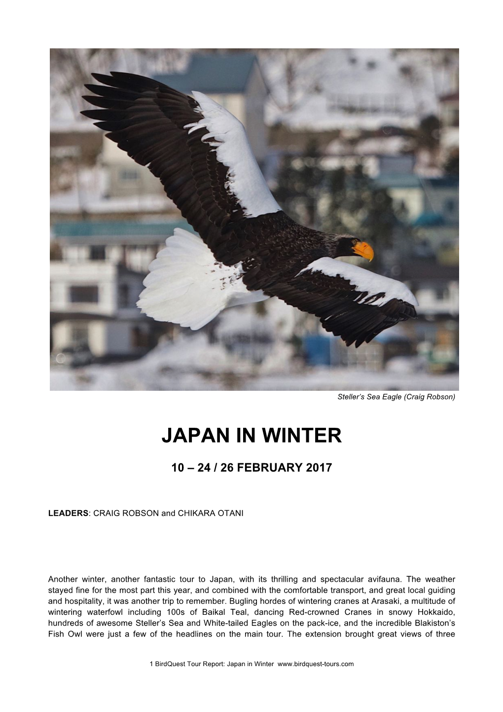 Japan in Winter Tour Report 2017