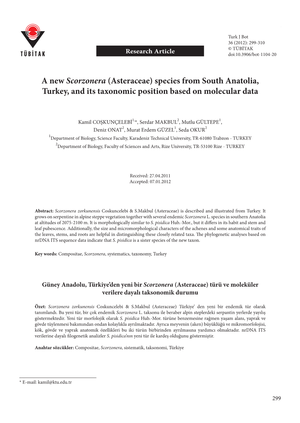 A New Scorzonera (Asteraceae) Species from South Anatolia, Turkey, and Its Taxonomic Position Based on Molecular Data