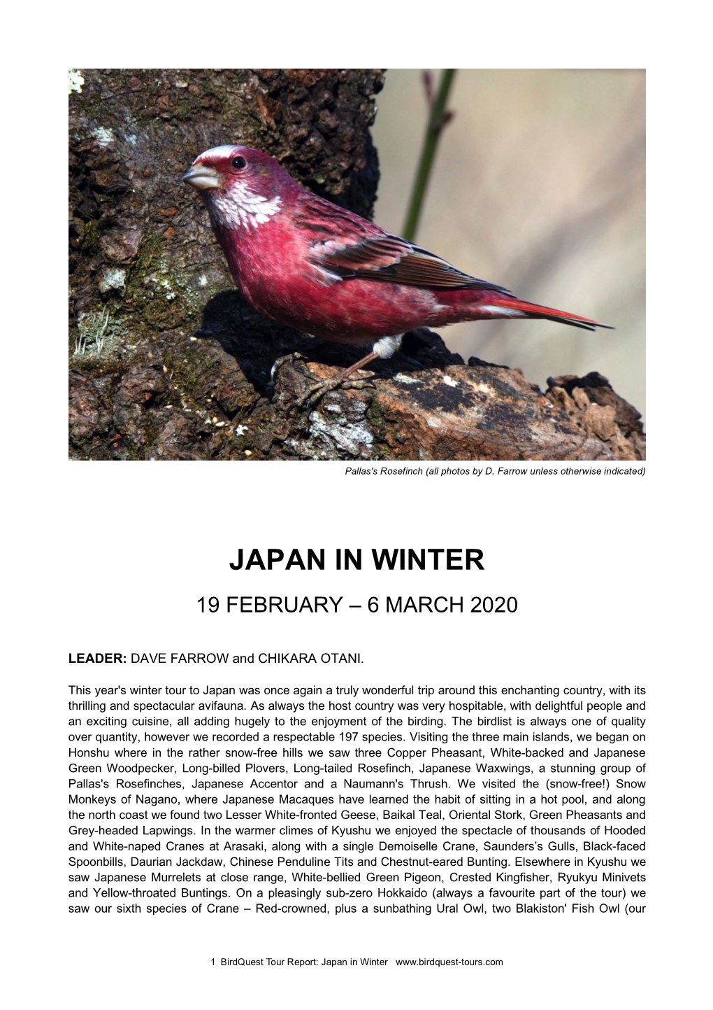 Japan in Winter Tour Report 2020