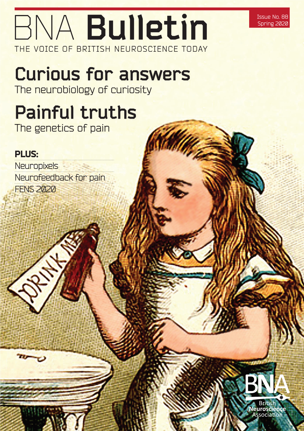 Curious for Answers Painful Truths