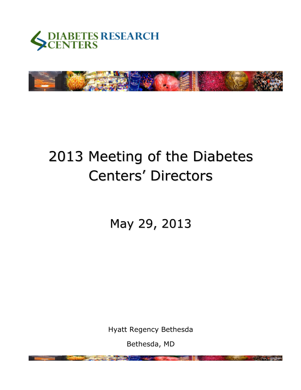 2013 Meeting of the Diabetes Centers' Directors