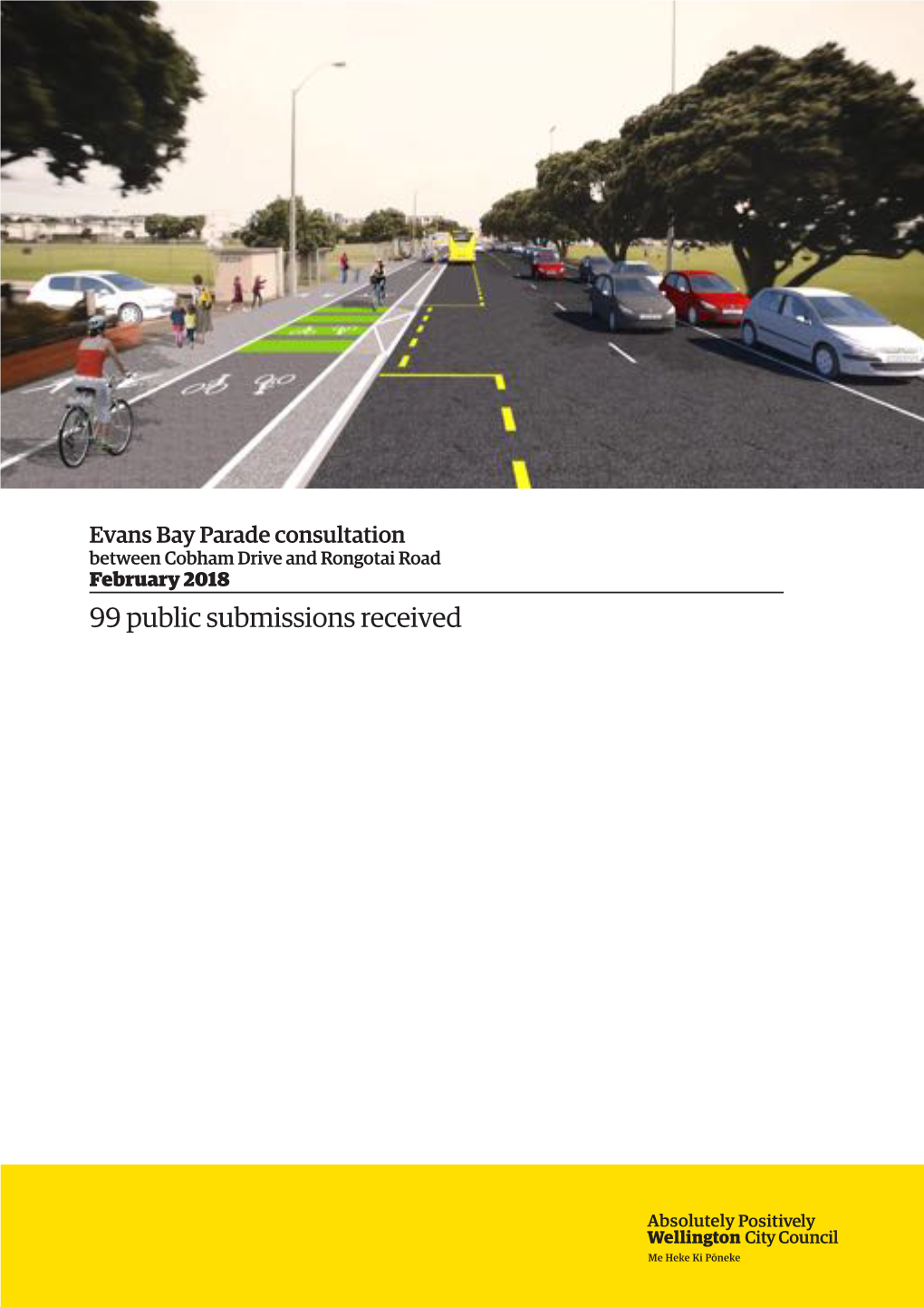 Evans Bay Pde TR FEB2018 Submissions Summary