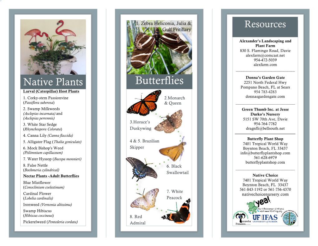 Wetland Butterfly Garden How to Guide with Resources