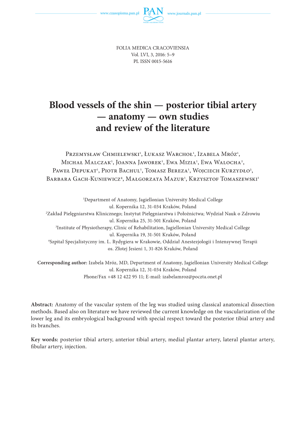 Blood Vessels of the Shin — Posterior Tibial Artery — Anatomy — Own Studies and Review of the Literature