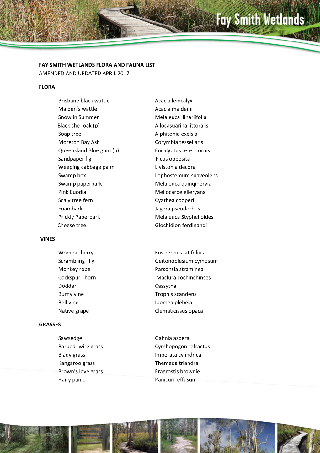 FAY SMITH WETLANDS FLORA and FAUNA LIST AMENDED and UPDATED APRIL 2017 FLORA Brisbane Black Wattle Acacia Leiocalyx Maiden A