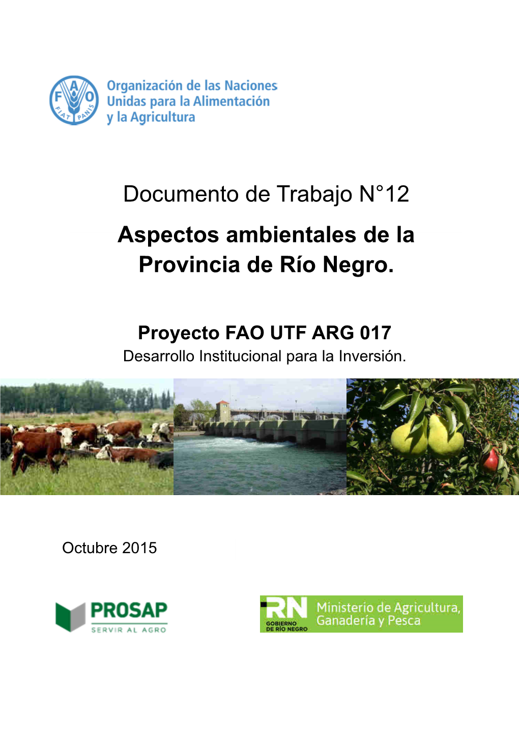 Documento De Trabajo N°12 Aspectos Ambientales De La Provincia De Río Negro