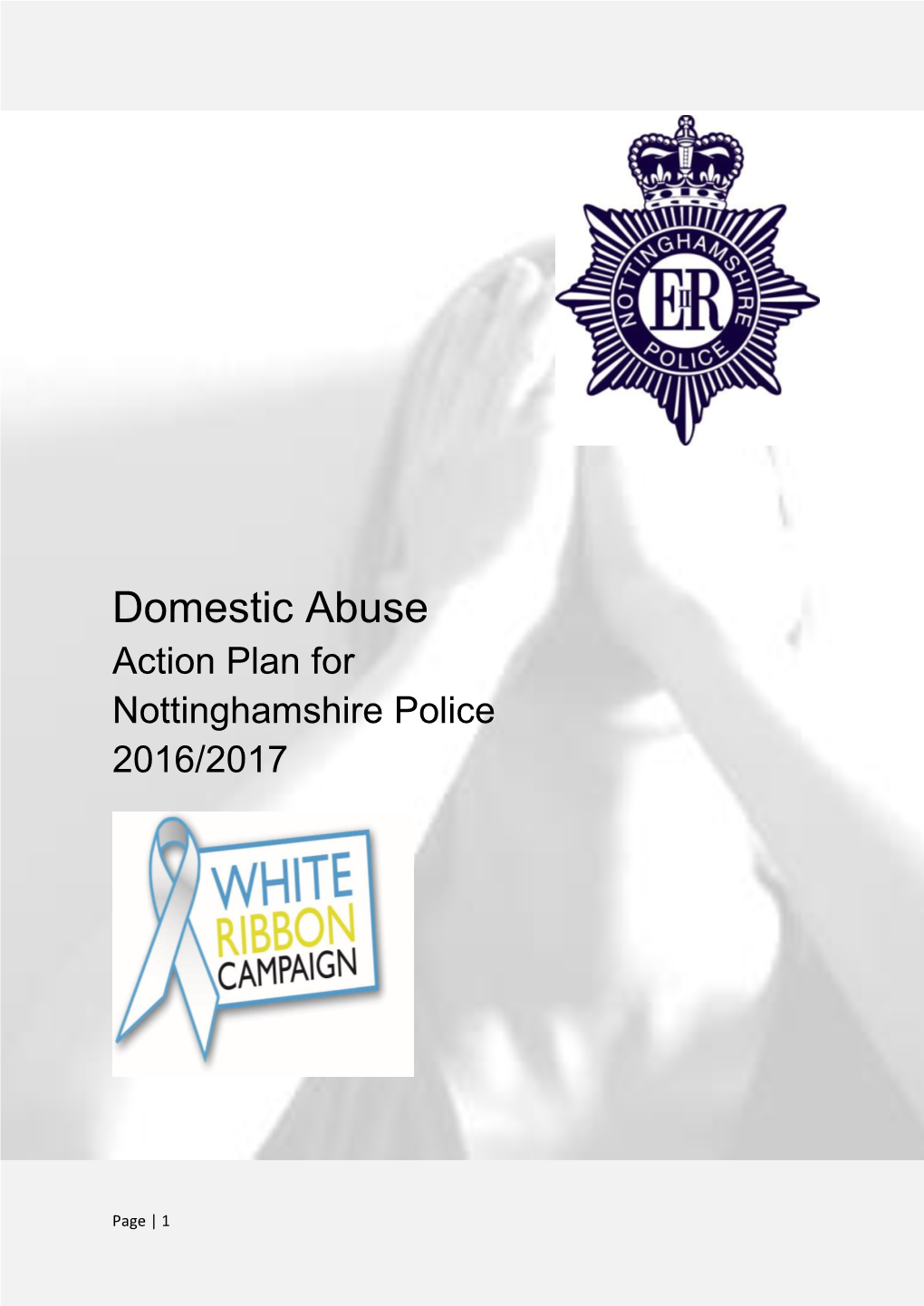 Domestic Abuse Action Plan for Nottinghamshire Police 2016/2017