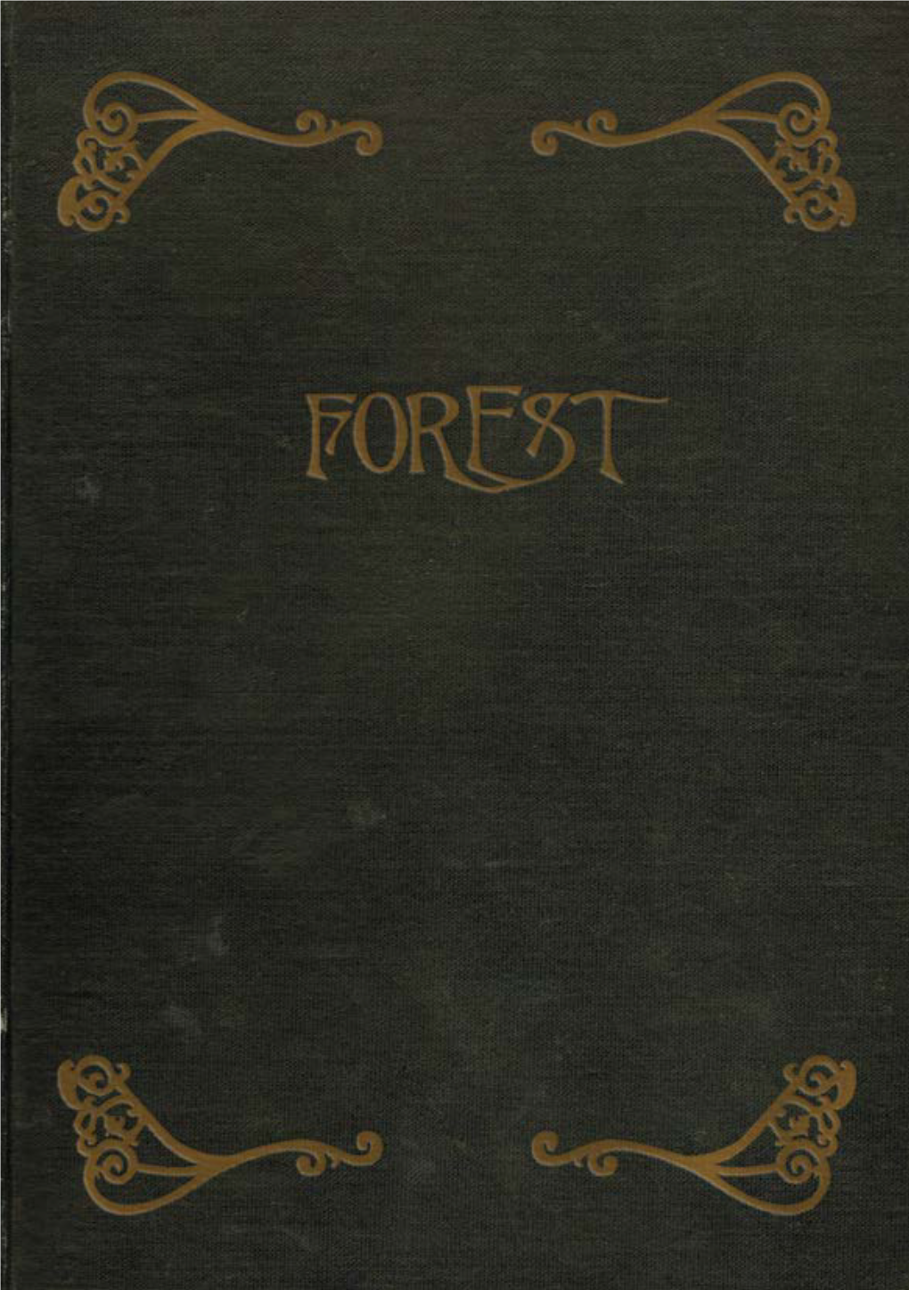 Forest Catalogue.Pdf