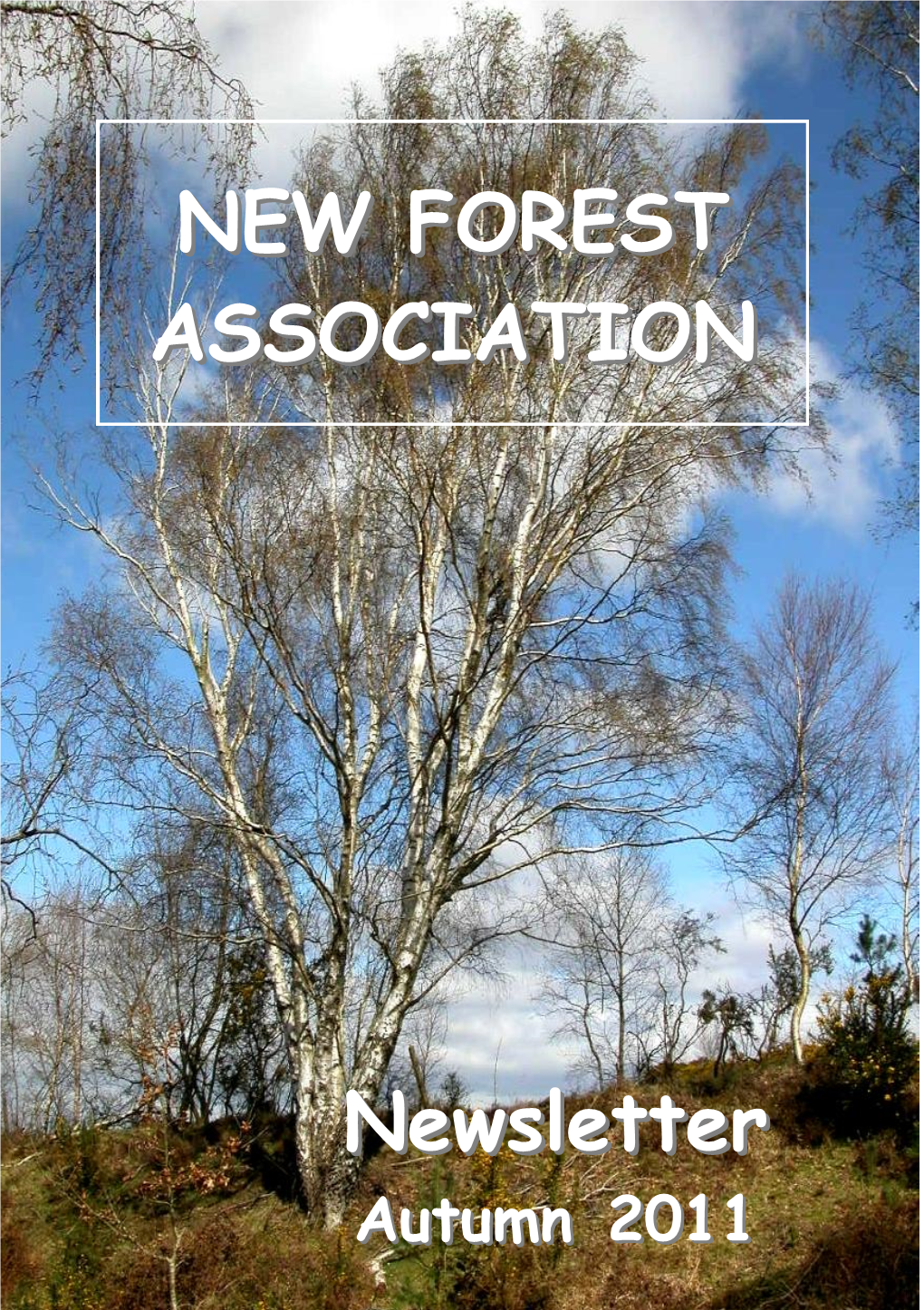 NEW FOREST ASSOCIATION Newsletter