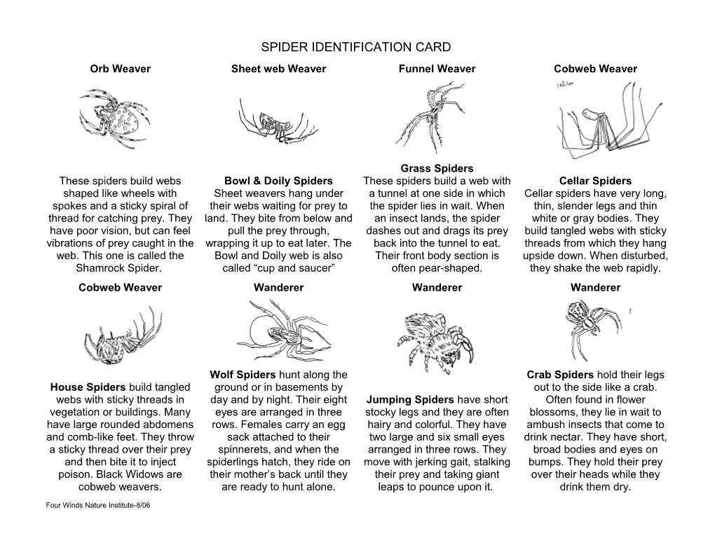 Spider Identification Card