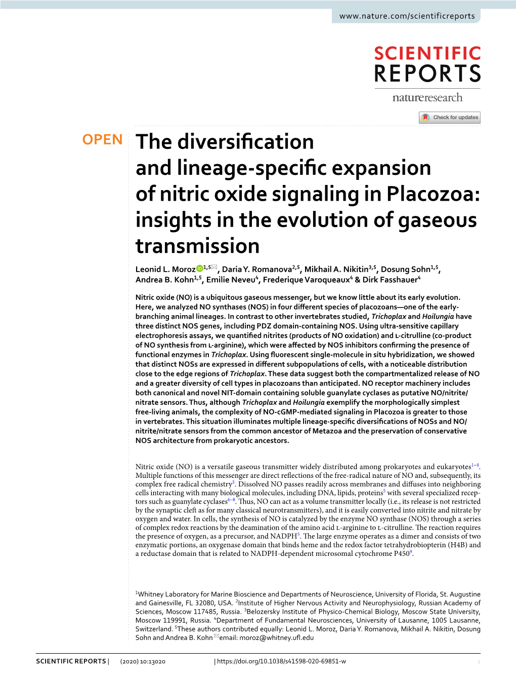 The Diversification and Lineage-Specific Expansion