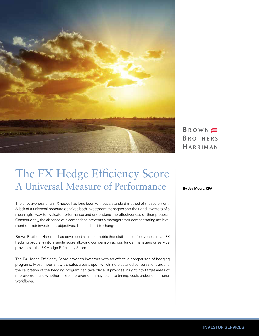 The FX Hedge Efficiency Score