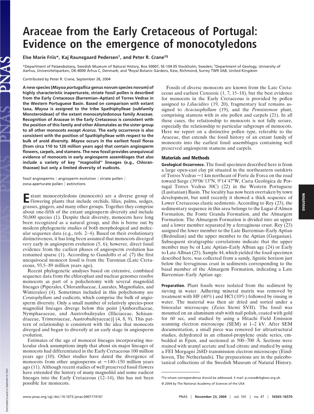 Araceae from the Early Cretaceous of Portugal: Evidence on the Emergence of Monocotyledons