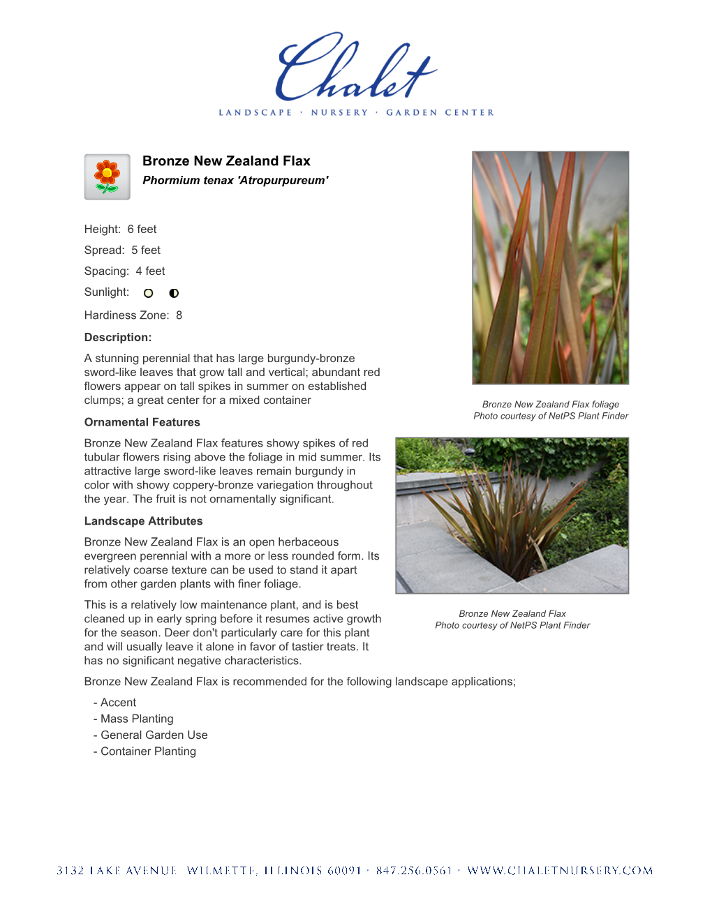 Chalet Nursery Bronze New Zealand Flax