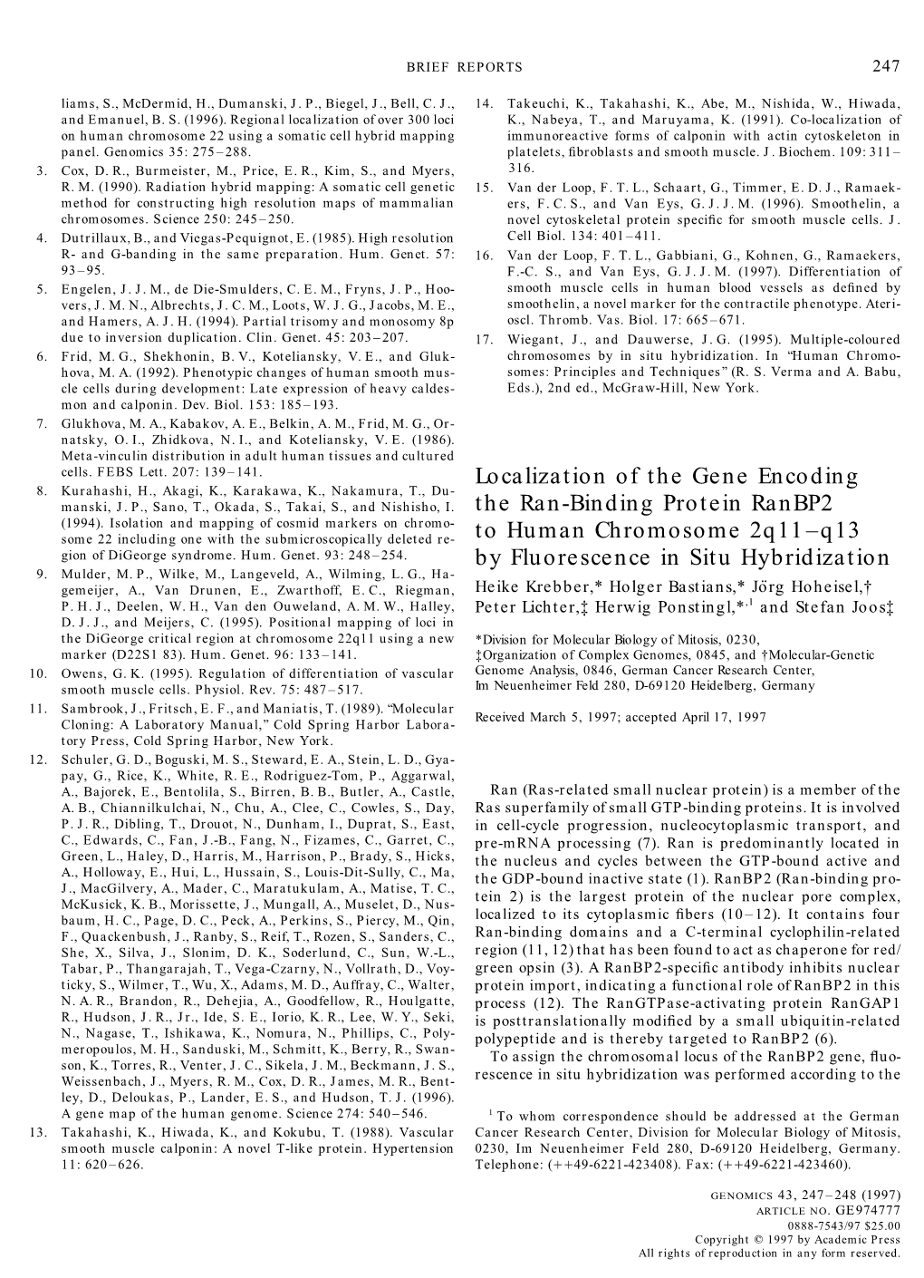 Localization of the Gene Encoding the Ran-Binding Protein Ranbp2 To