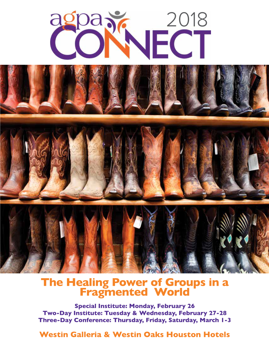 The Healing Power of Groups in a Fragmented World” - This Year’S AGPA but Thorough Introduction to Mental- of the Training Group in the Education Connect Theme