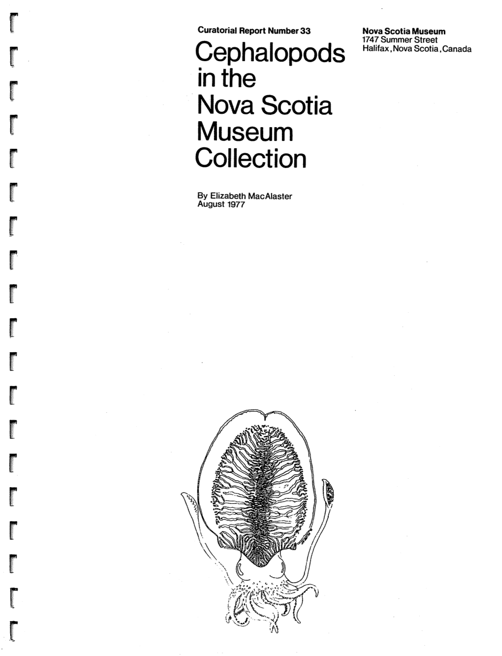 CEPHALOPODS in the NOVA SCOTIA MUSEUM COLLECTION R Spirula Spirula Linnaeus 1758