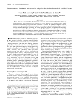 Transient and Heritable Mutators in Adaptive Evolution in the Lab and in Nature