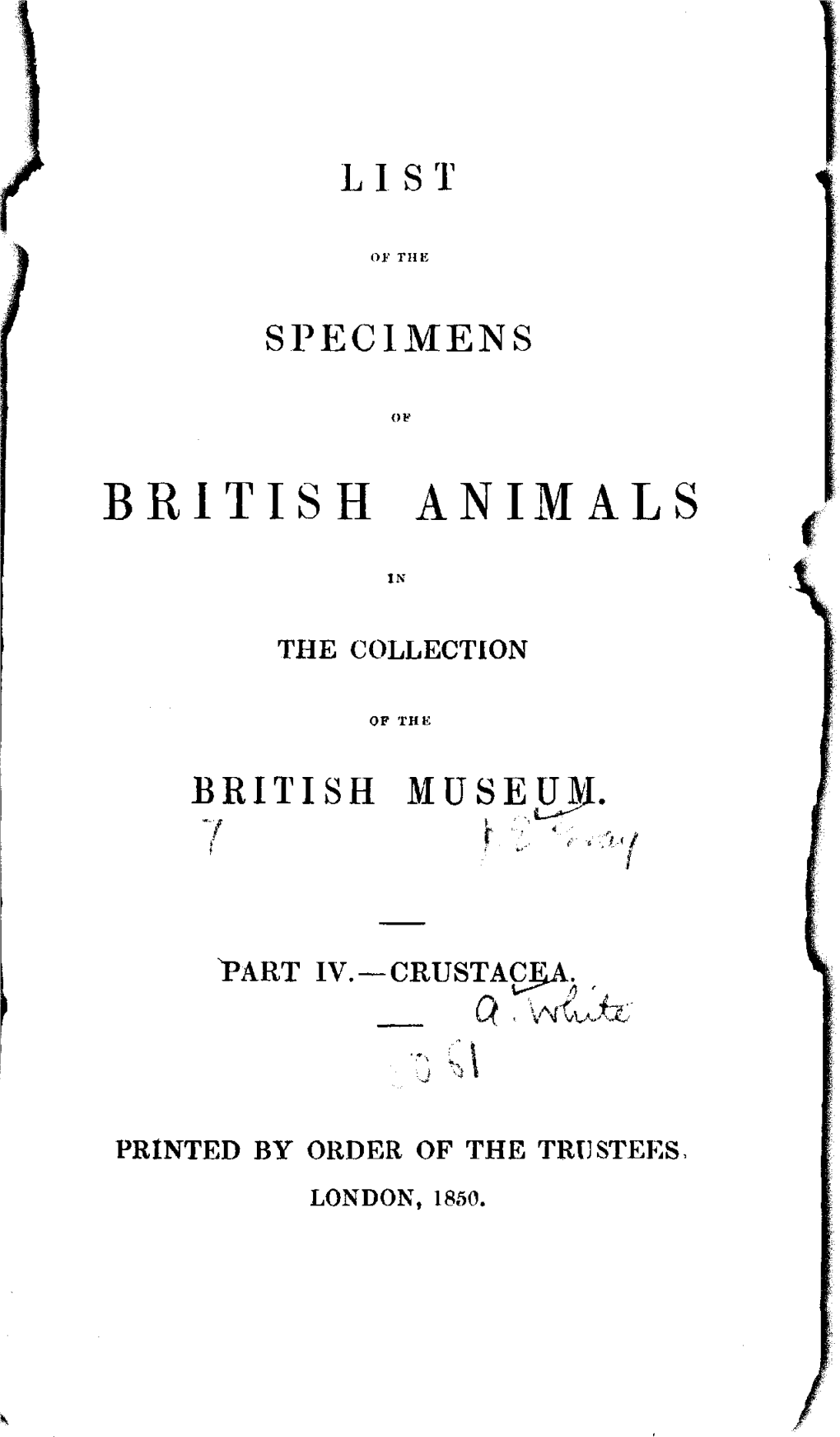 British Animals