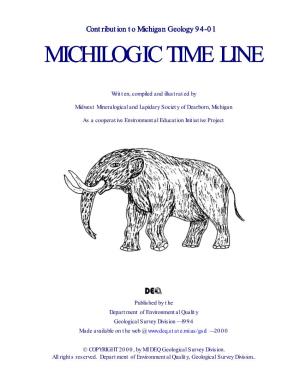 Michilogic Time Line