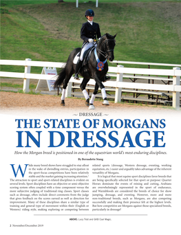 THE STATE of MORGANS in DRESSAGE How the Morgan Breed Is Positioned in One of the Equestrian World’S Most Enduring Disciplines