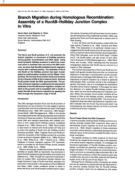 Branch Migration During Homologous Recombination: Assembly of a Ruvab-Holliday Junction Complex in Vitro