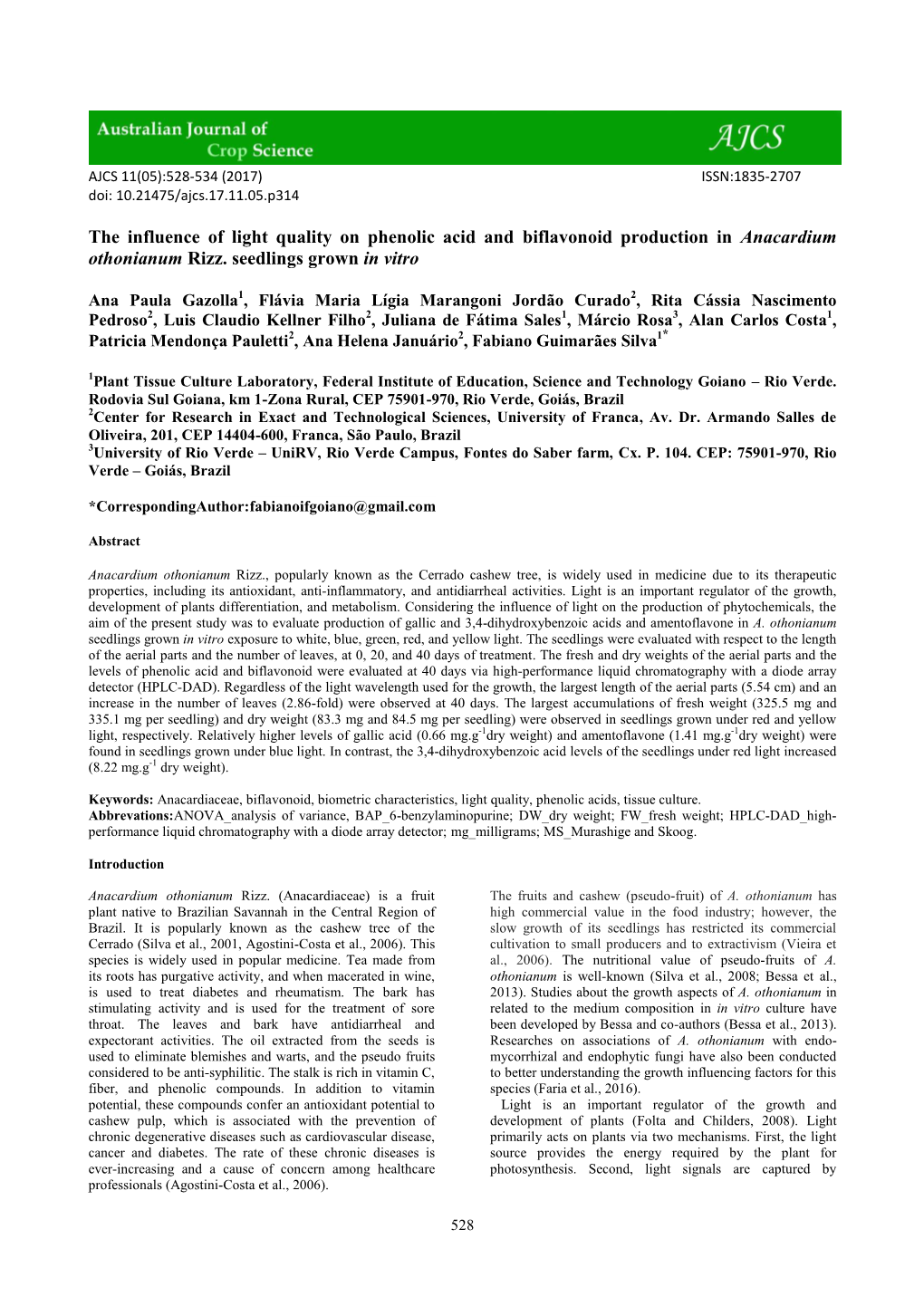 The Influence of Light Quality on Phenolic Acid and Biflavonoid Production in Anacardium Othonianum Rizz. Seedlings Grown in Vitro