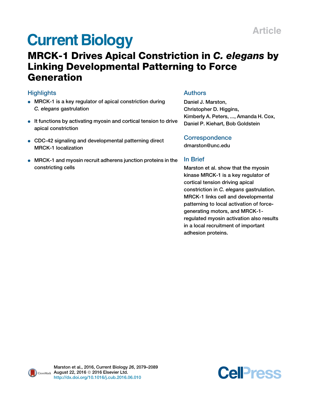 MRCK-1 Drives Apical Constriction in C.&Nbsp;Elegans by Linking