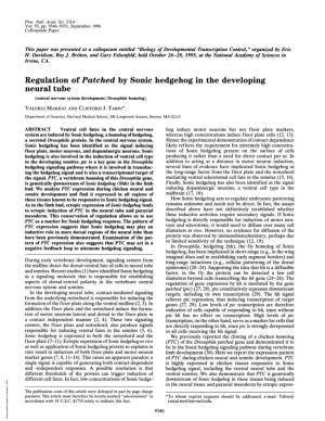 Regulation of Patched by Sonic Hedgehog in the Developing Neural Tube (Central Nervous System Development/Drosophila Homolog) VALERIA MARIGO and CLIFFORD J