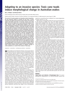 Adapting to an Invasive Species: Toxic Cane Toads Induce Morphological Change in Australian Snakes