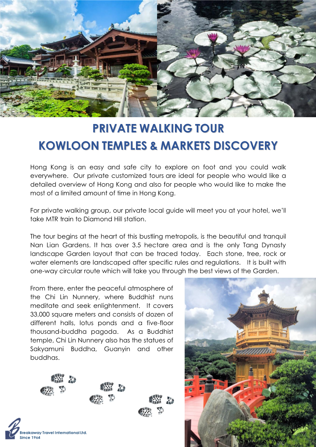 Private Walking Tour Kowloon Temples & Markets